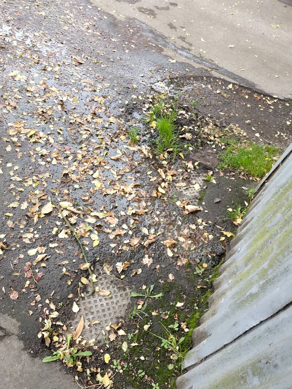 The photograph attached to this water leak report