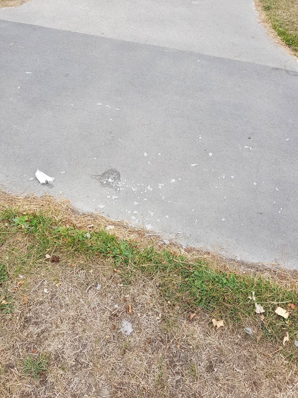 The photograph attached to this parks report