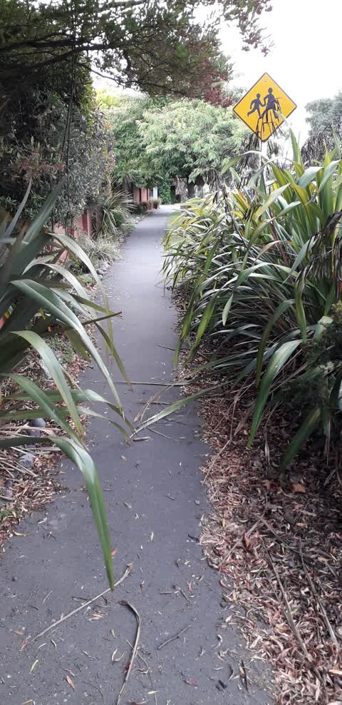 Roading/Streets, a report photo