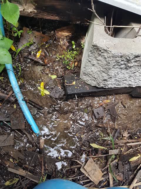 Water Leak, a report photo