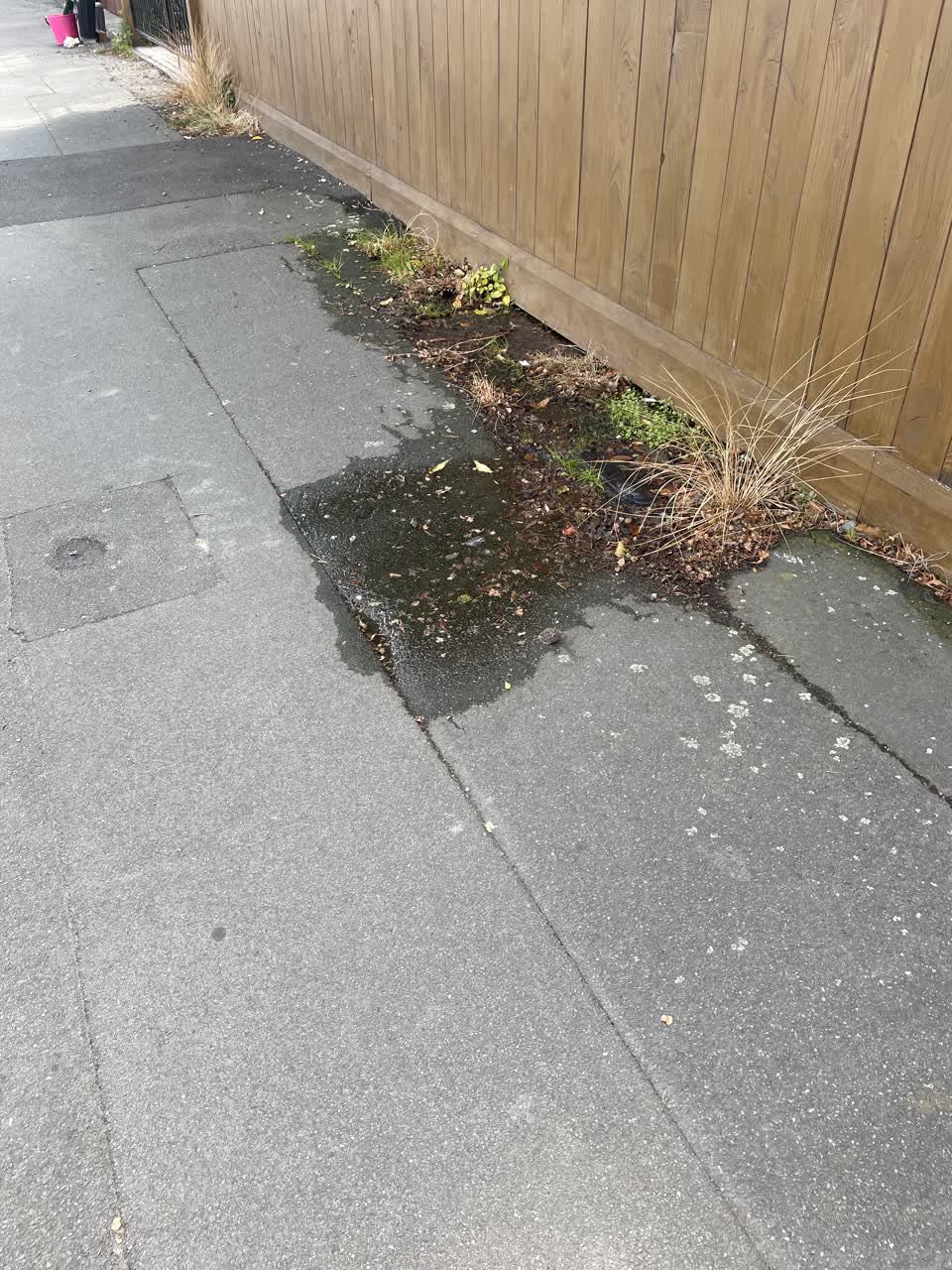 The photograph attached to this water leak report