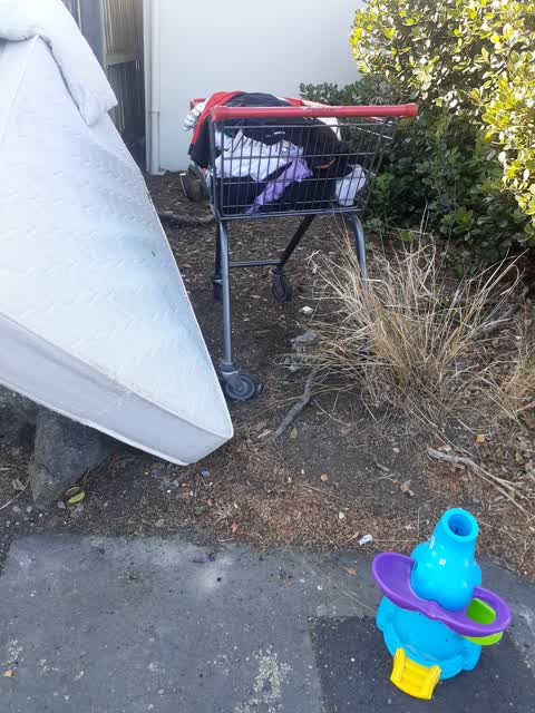 Rubbish/Recycling, a report photo