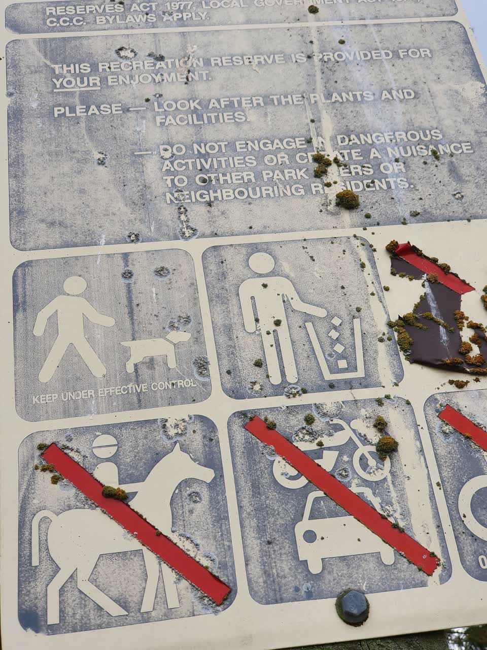 The photograph attached to this parks report