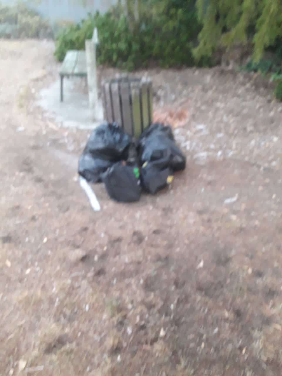 The photograph attached to this parks report
