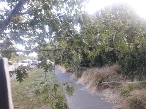 Parks, a report photo