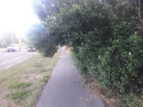 Parks, a report photo
