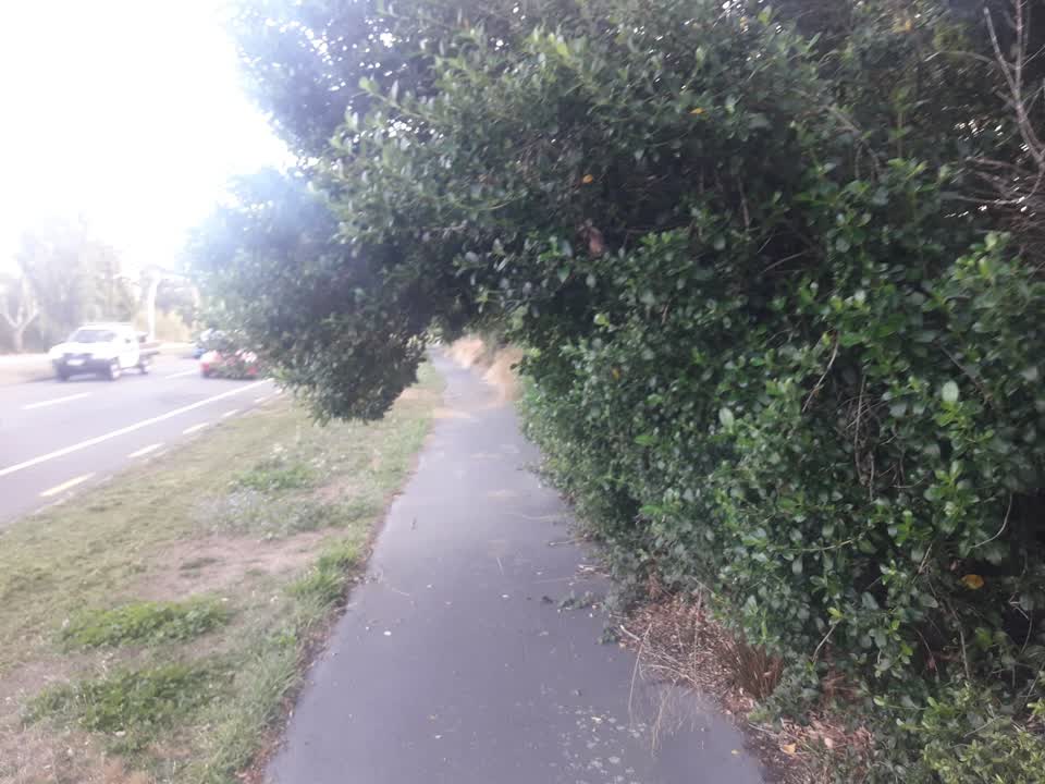 The photograph attached to this parks report