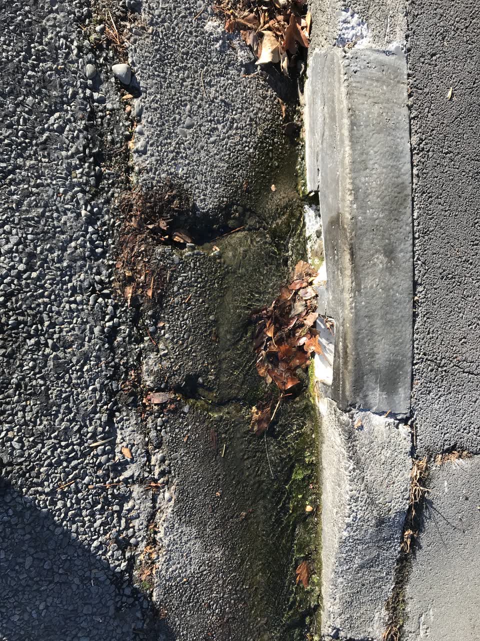 The photograph attached to this wastewater/stormwater report