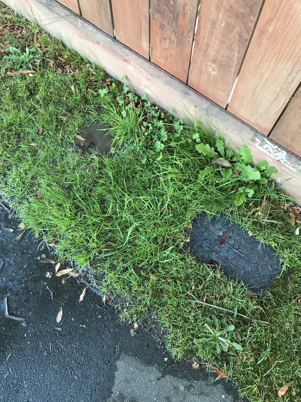 The photograph attached to this water leak report