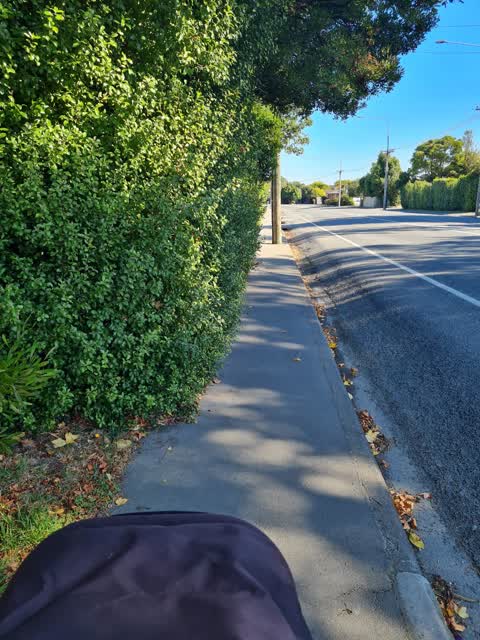 Roading/Streets, a report photo
