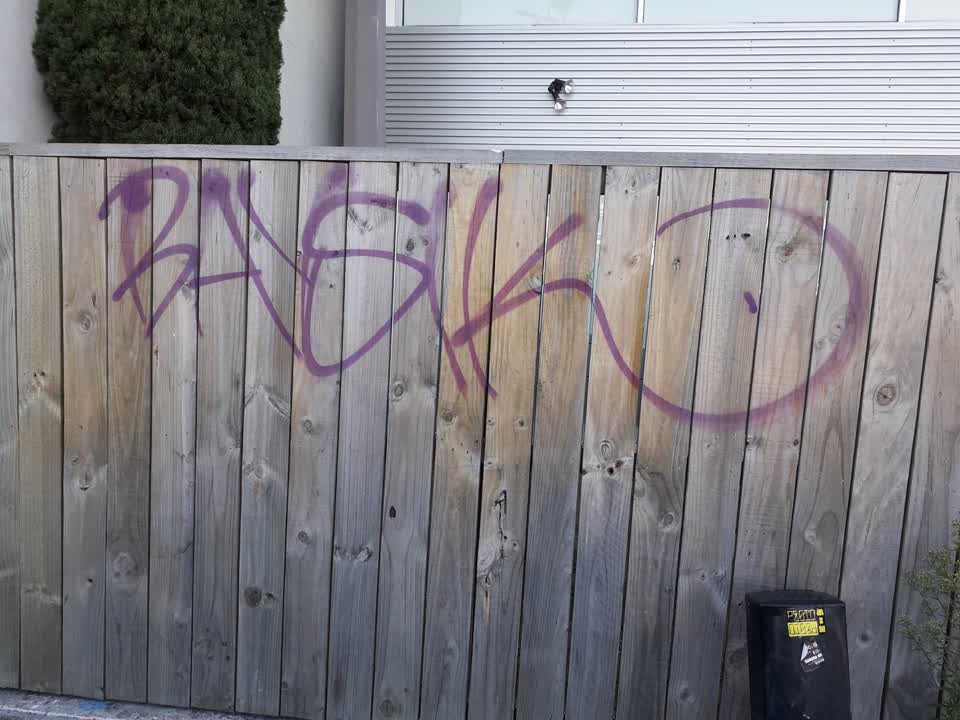 The photograph attached to this graffiti report