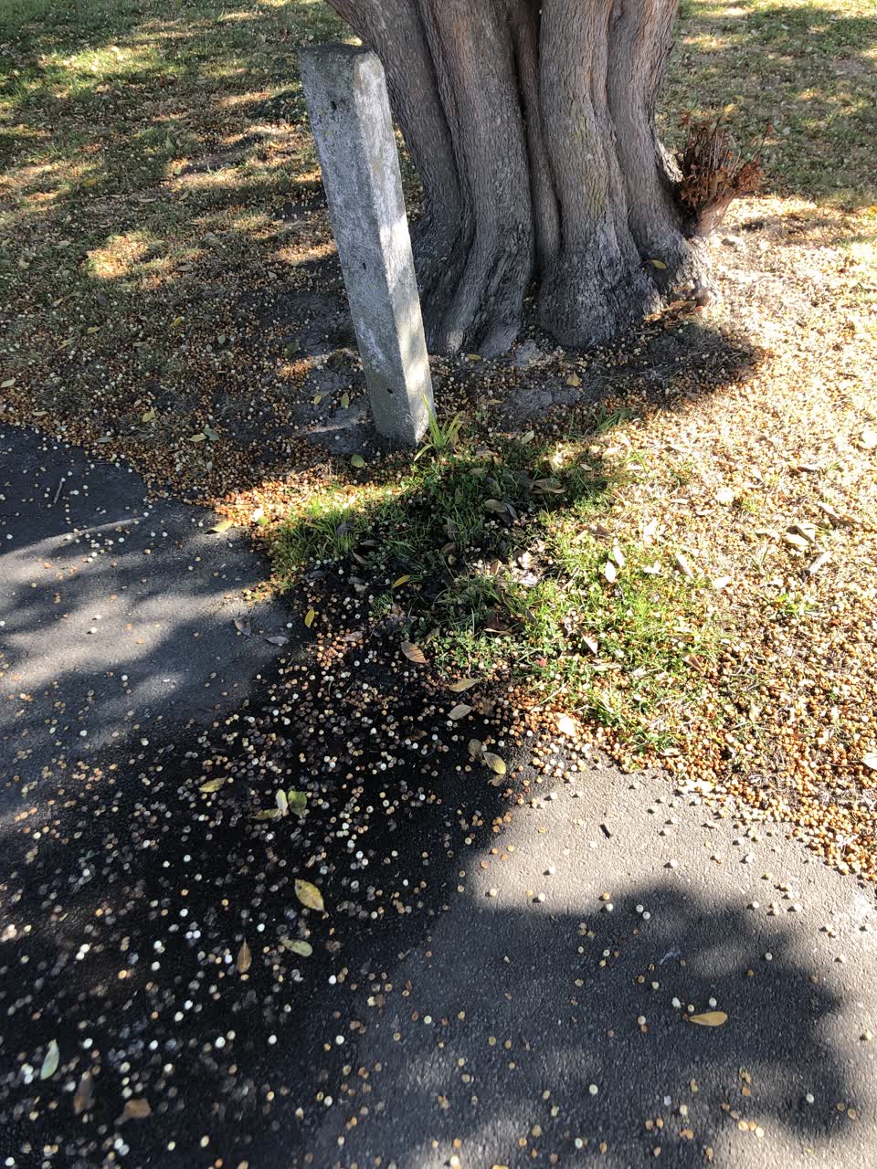 The photograph attached to this water leak report