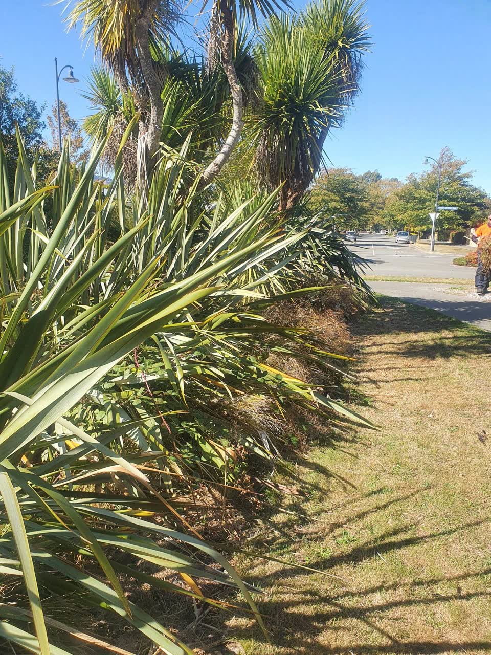 The photograph attached to this parks report