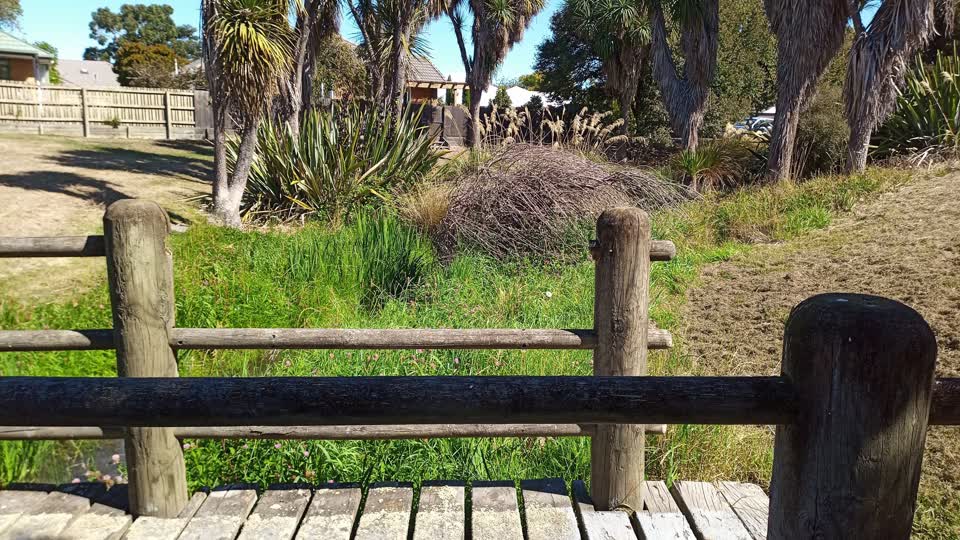 The photograph attached to this parks report
