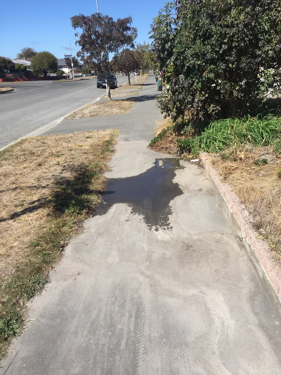 The photograph attached to this water leak report