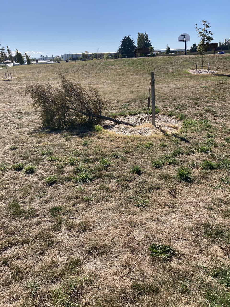 The photograph attached to this parks report
