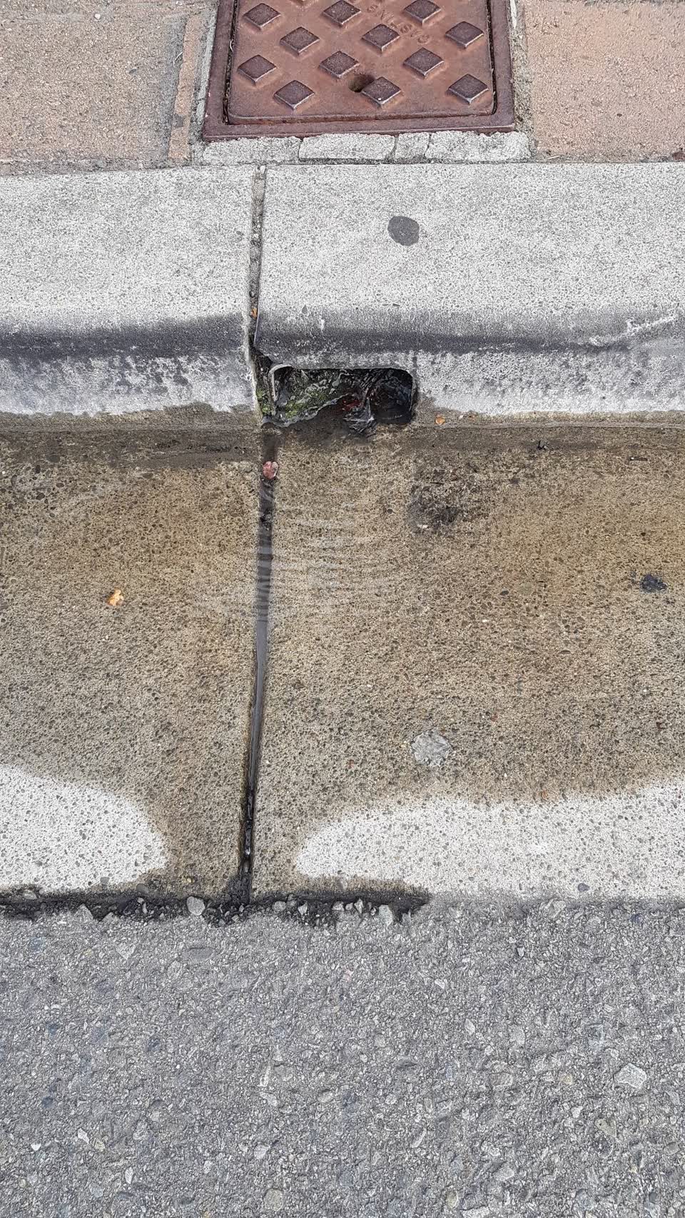 The photograph attached to this water leak report