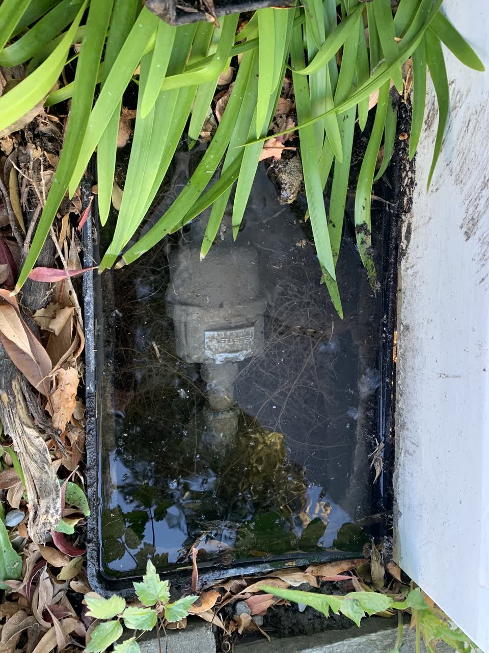 The photograph attached to this water leak report
