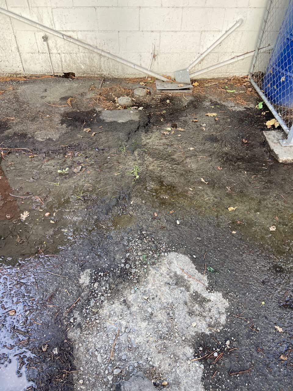 The photograph attached to this water leak report