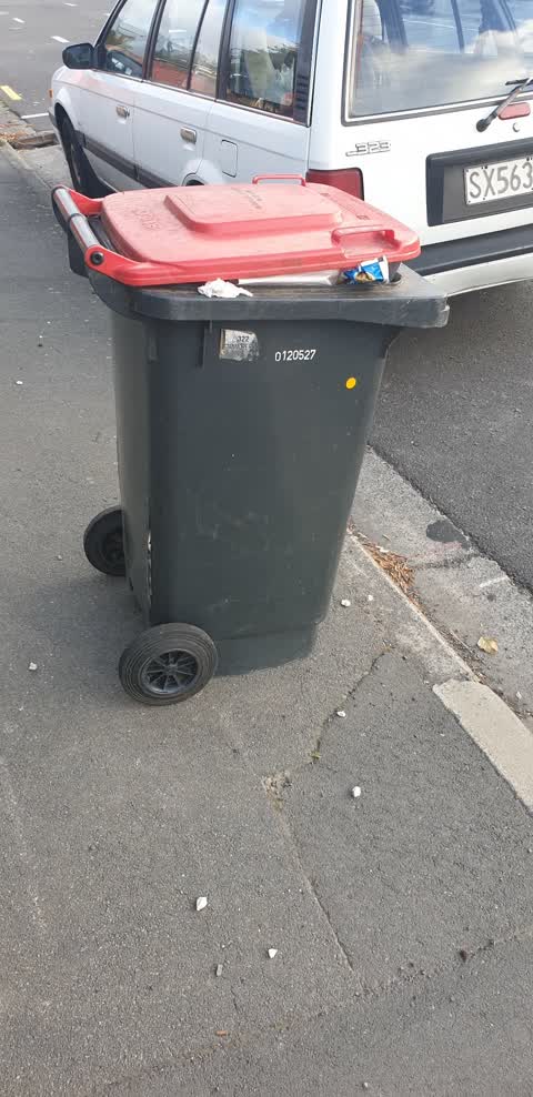 Rubbish/Recycling — a report photo