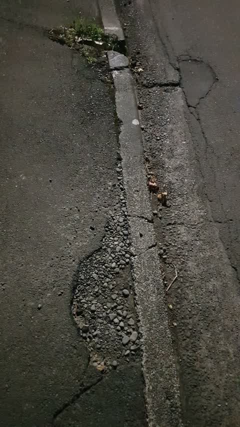 Roading/Streets, a report photo