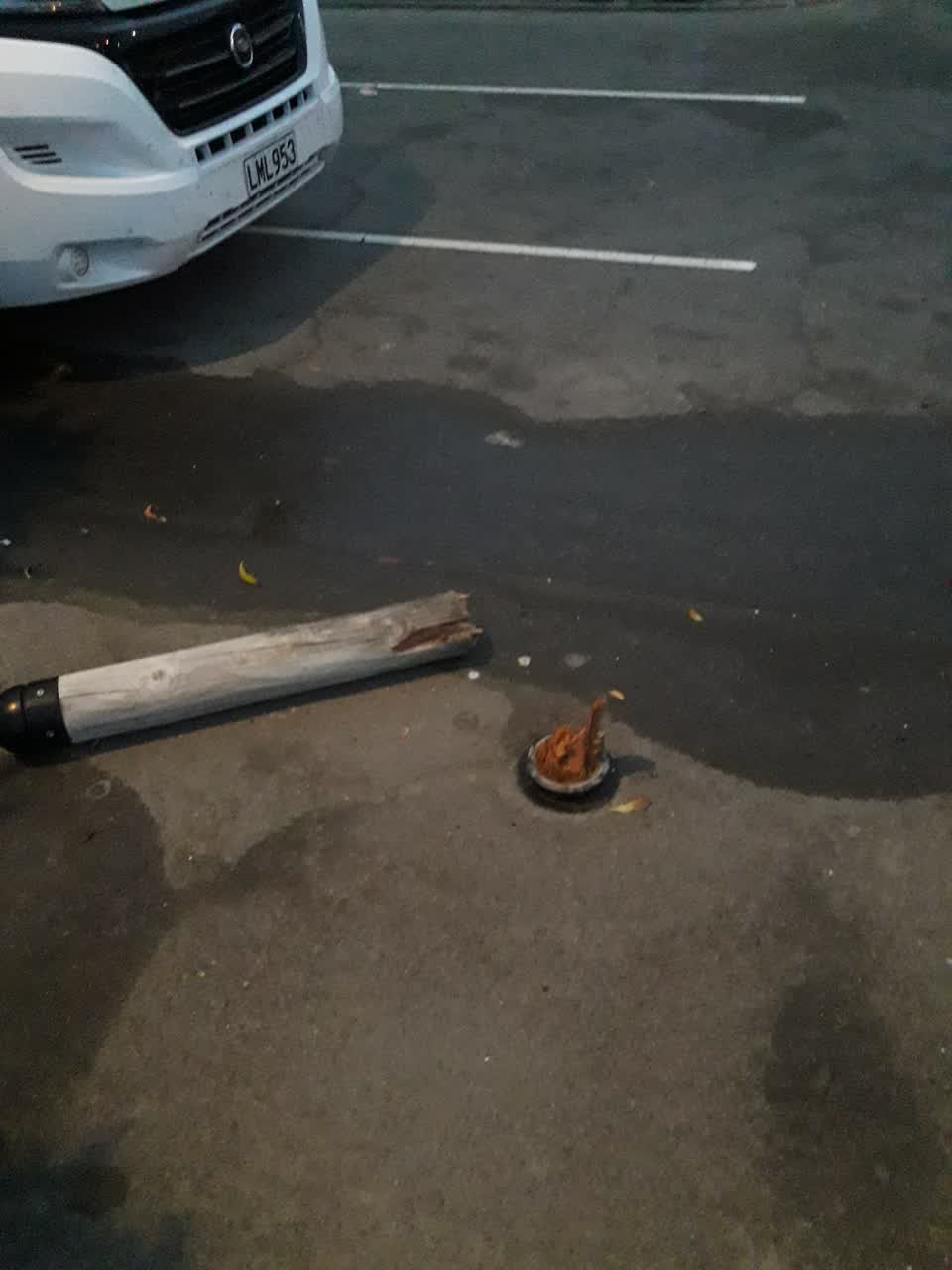 The photograph attached to this parks report