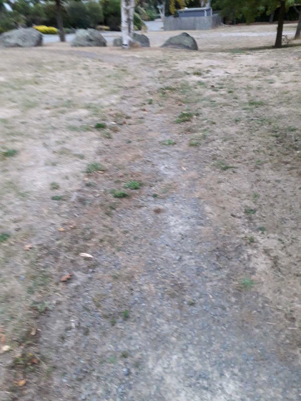 The photograph attached to this parks report