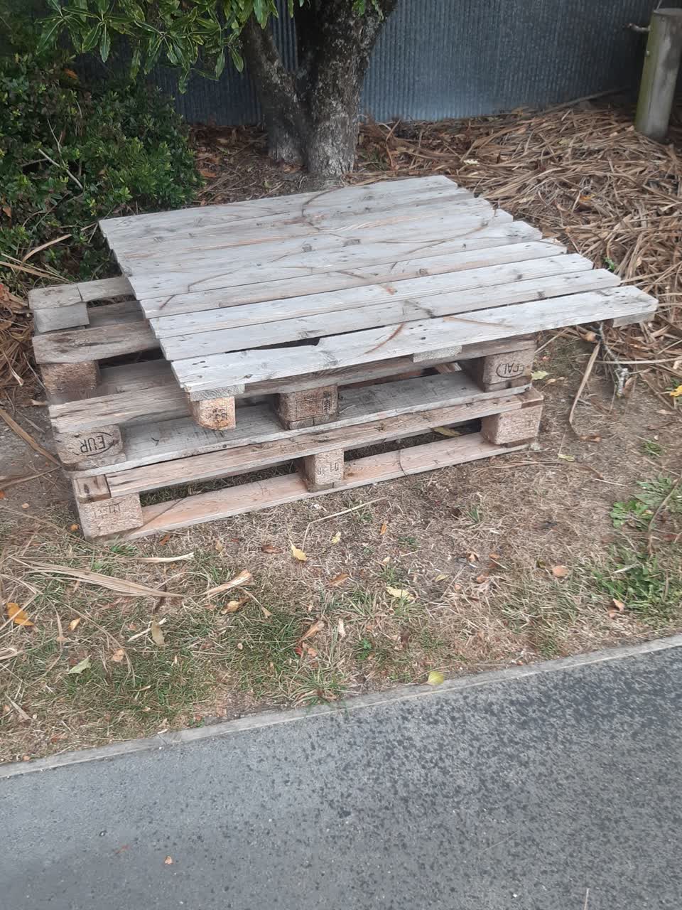 The photograph attached to this parks report