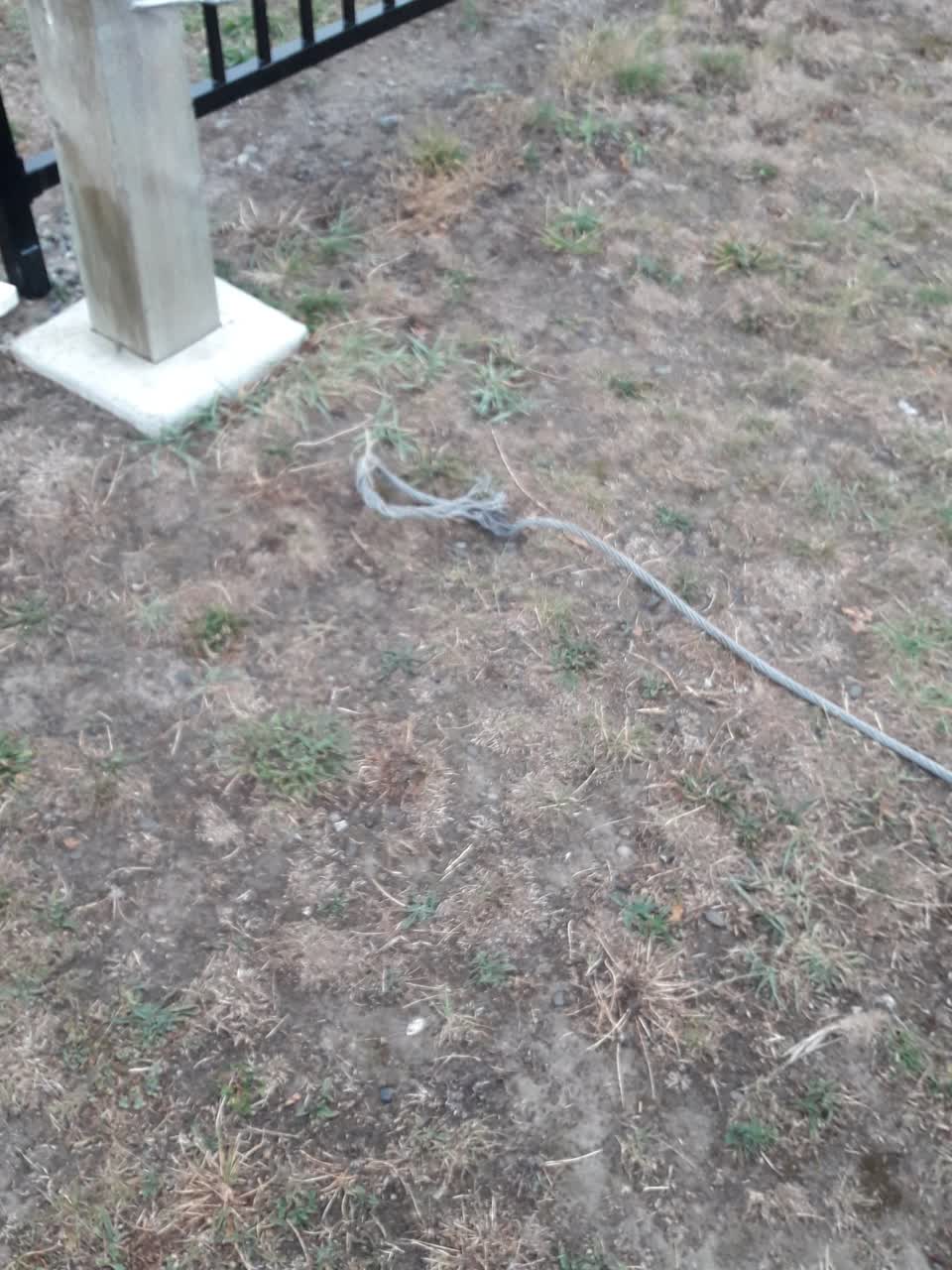 The photograph attached to this parks report
