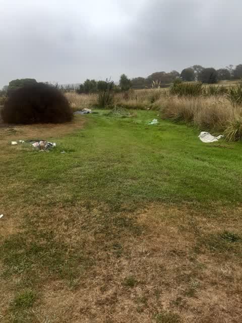 Parks, a report photo