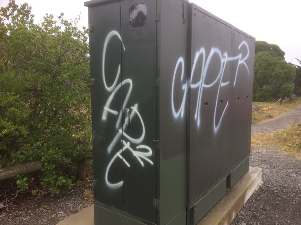 The photograph attached to this graffiti report