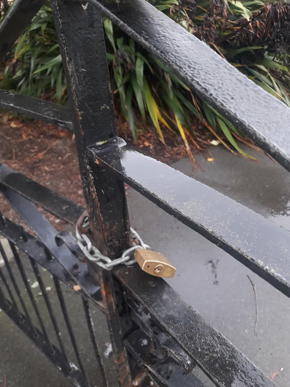 The photograph attached to this parks report