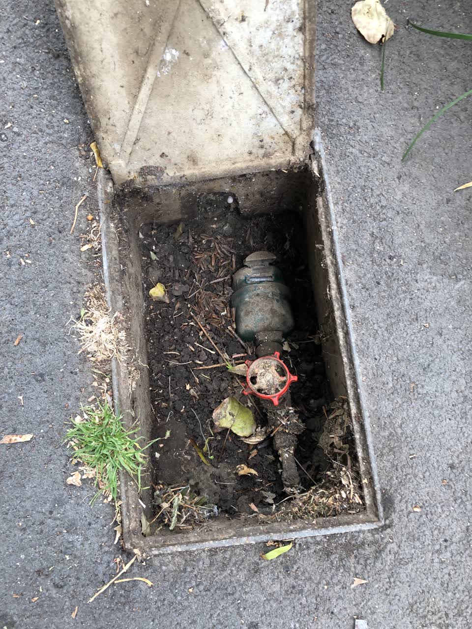 The photograph attached to this water supply report
