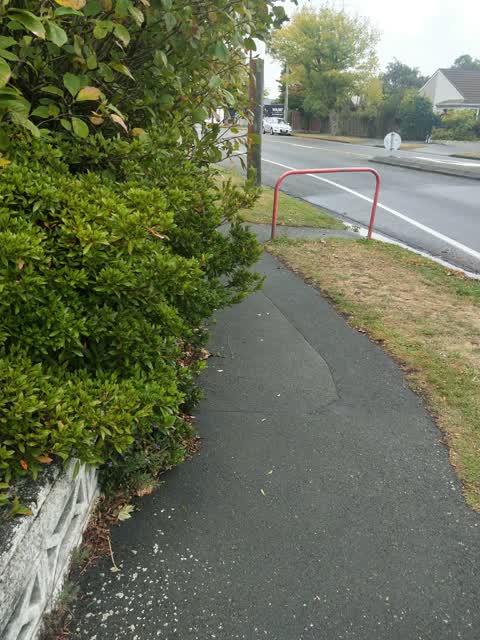 Roading/Streets, a report photo
