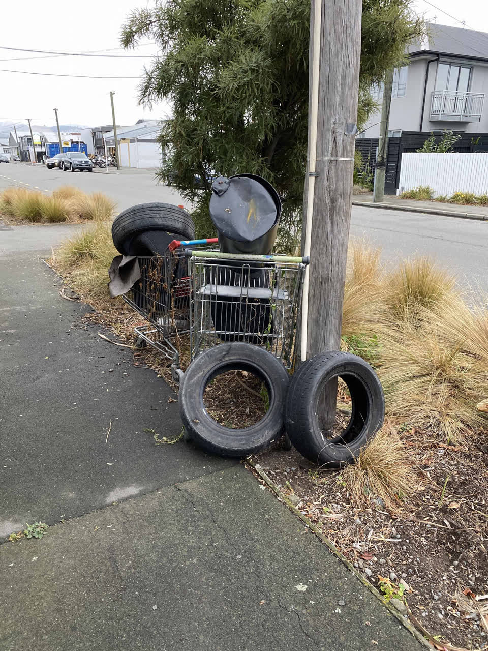 The photograph attached to this rubbish/recycling report