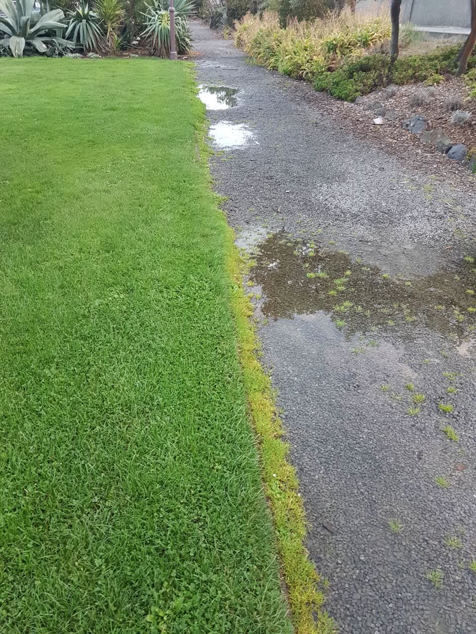 The photograph attached to this parks report