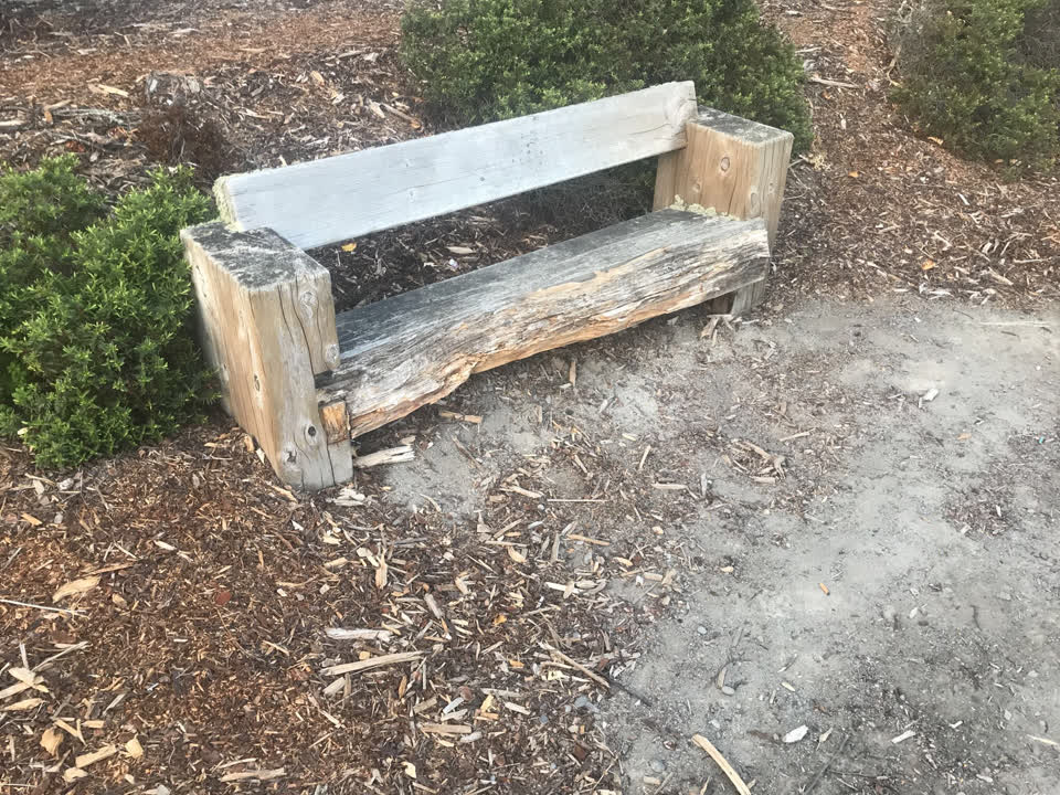 The photograph attached to this parks report