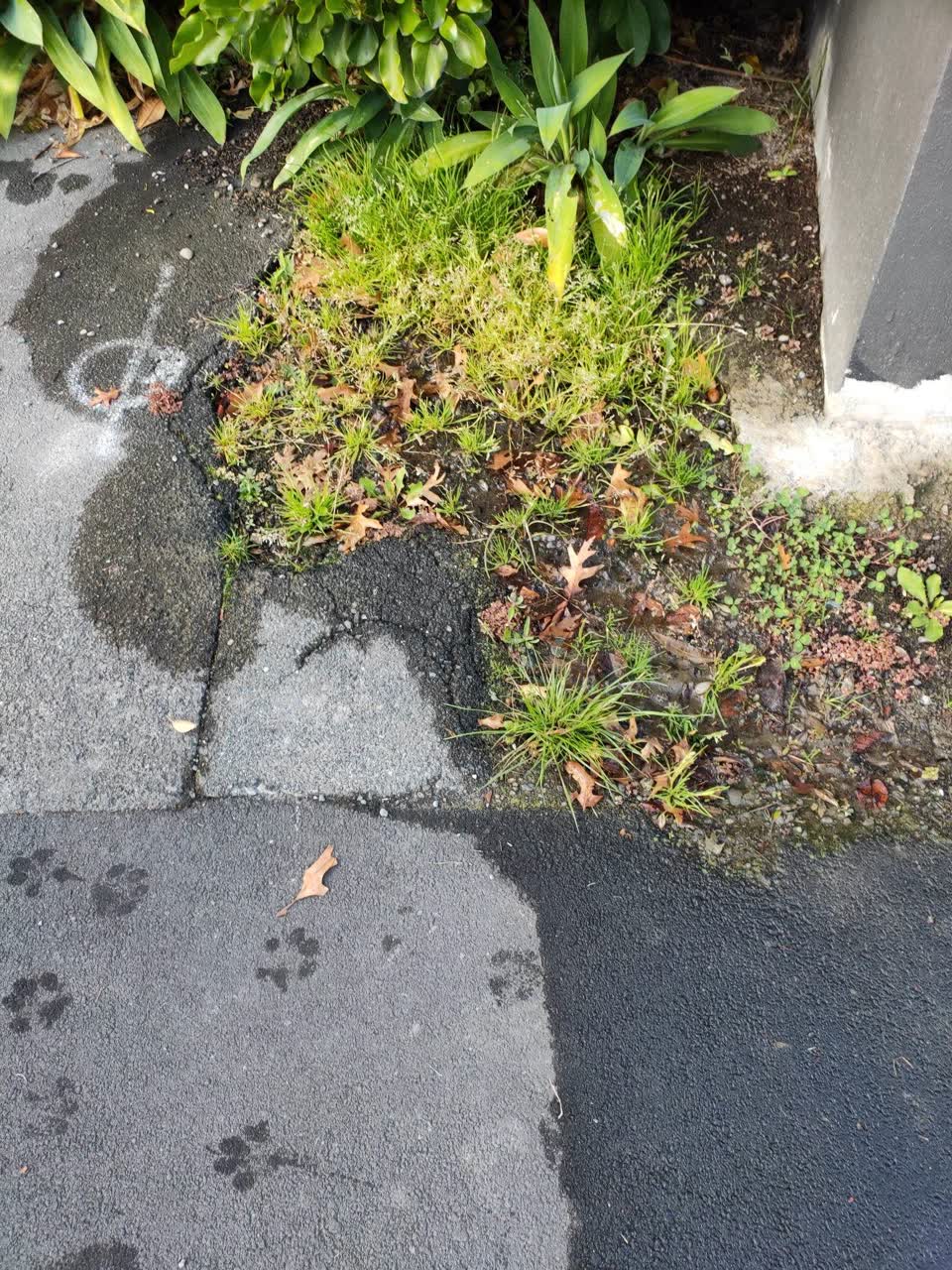 The photograph attached to this water leak report