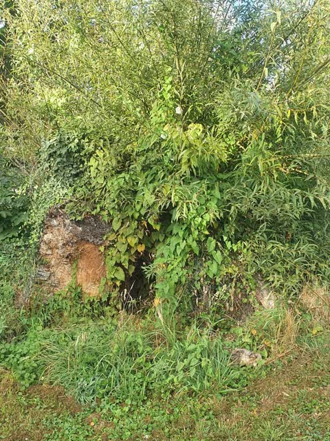 Parks, a report photo