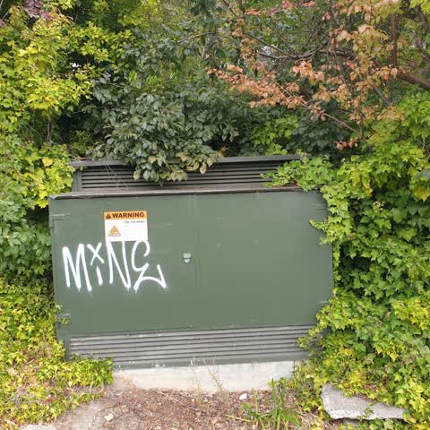 Graffiti, a report photo