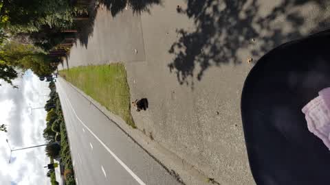 Roading/Streets, a report photo
