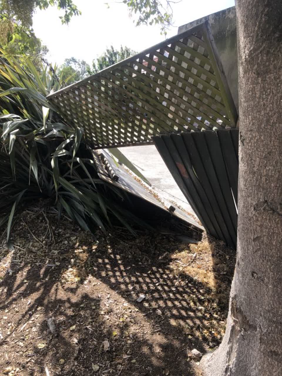 The photograph attached to this parks report