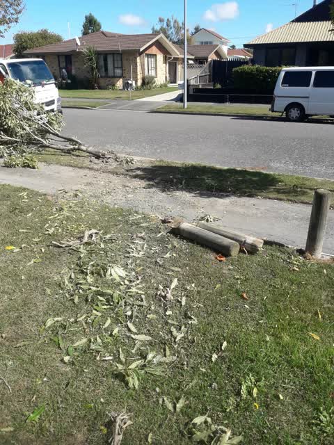 Parks, a report photo