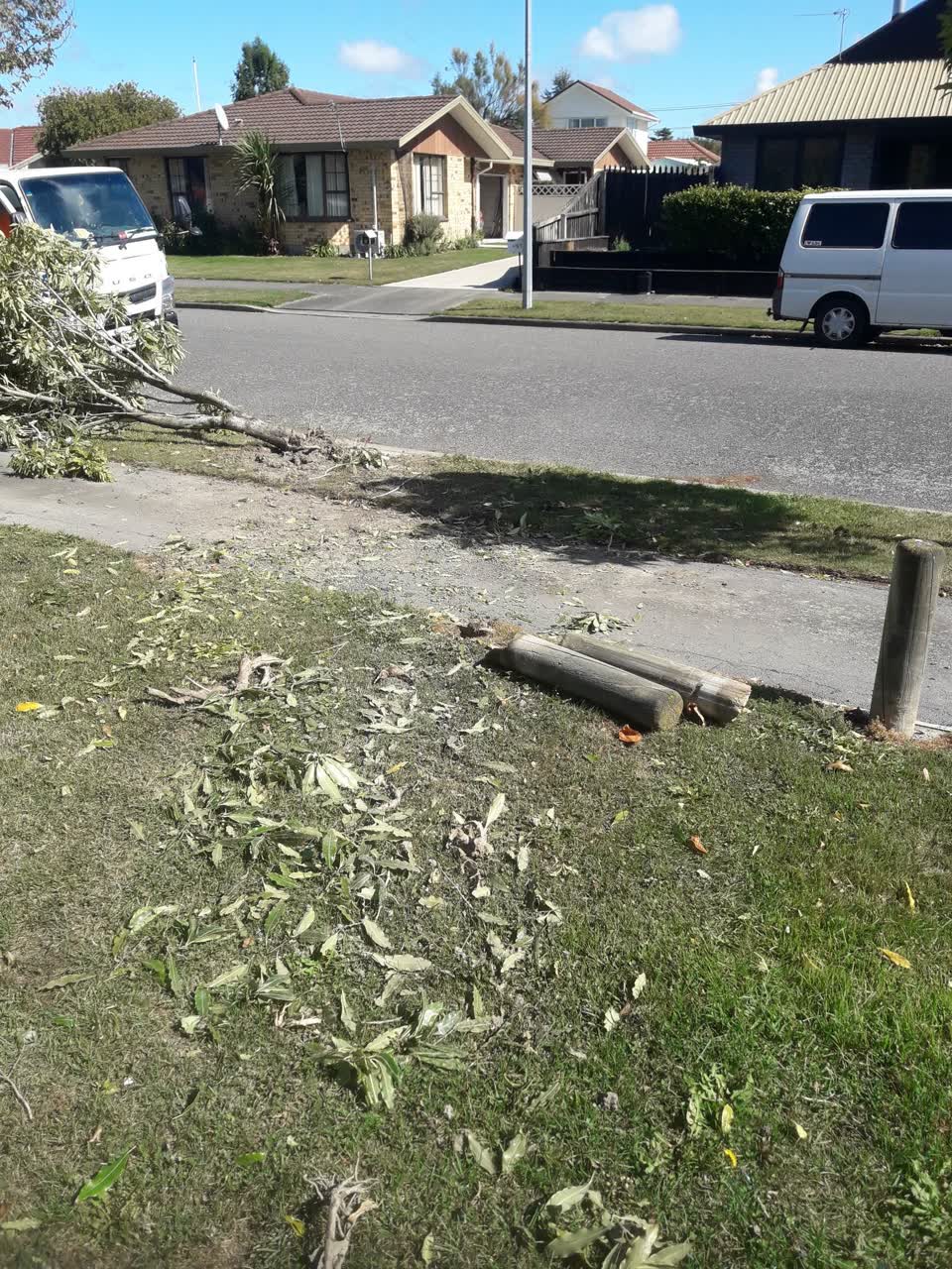 The photograph attached to this parks report