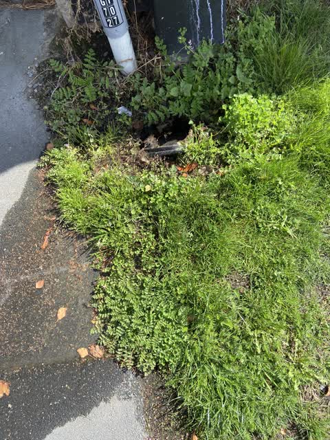 Water Leak, a report photo