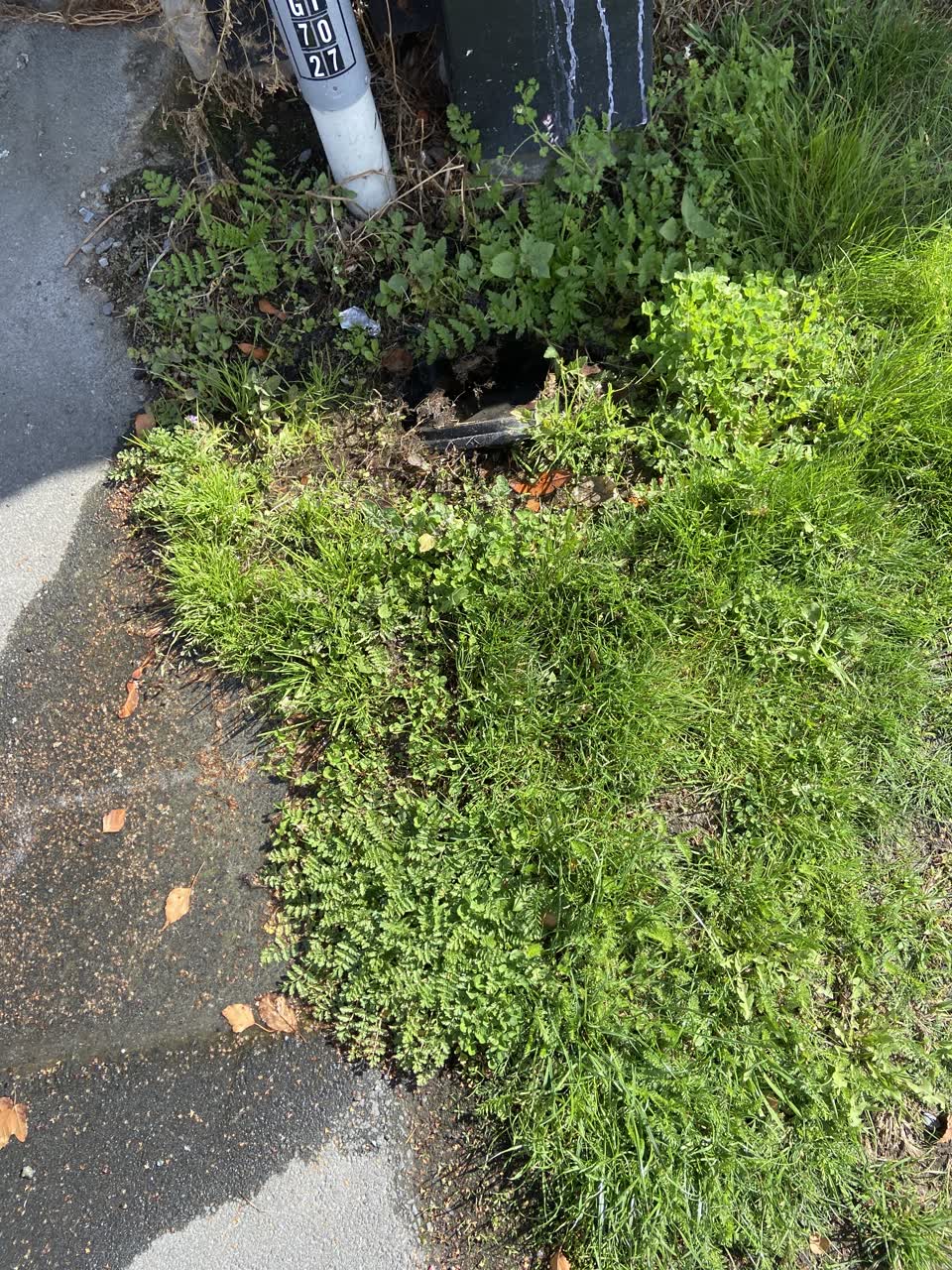 The photograph attached to this water leak report