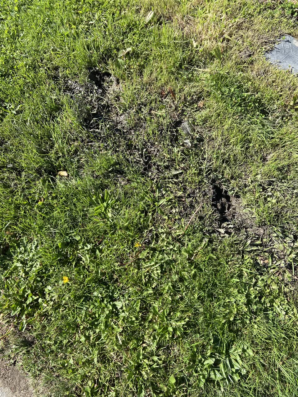 The photograph attached to this water leak report