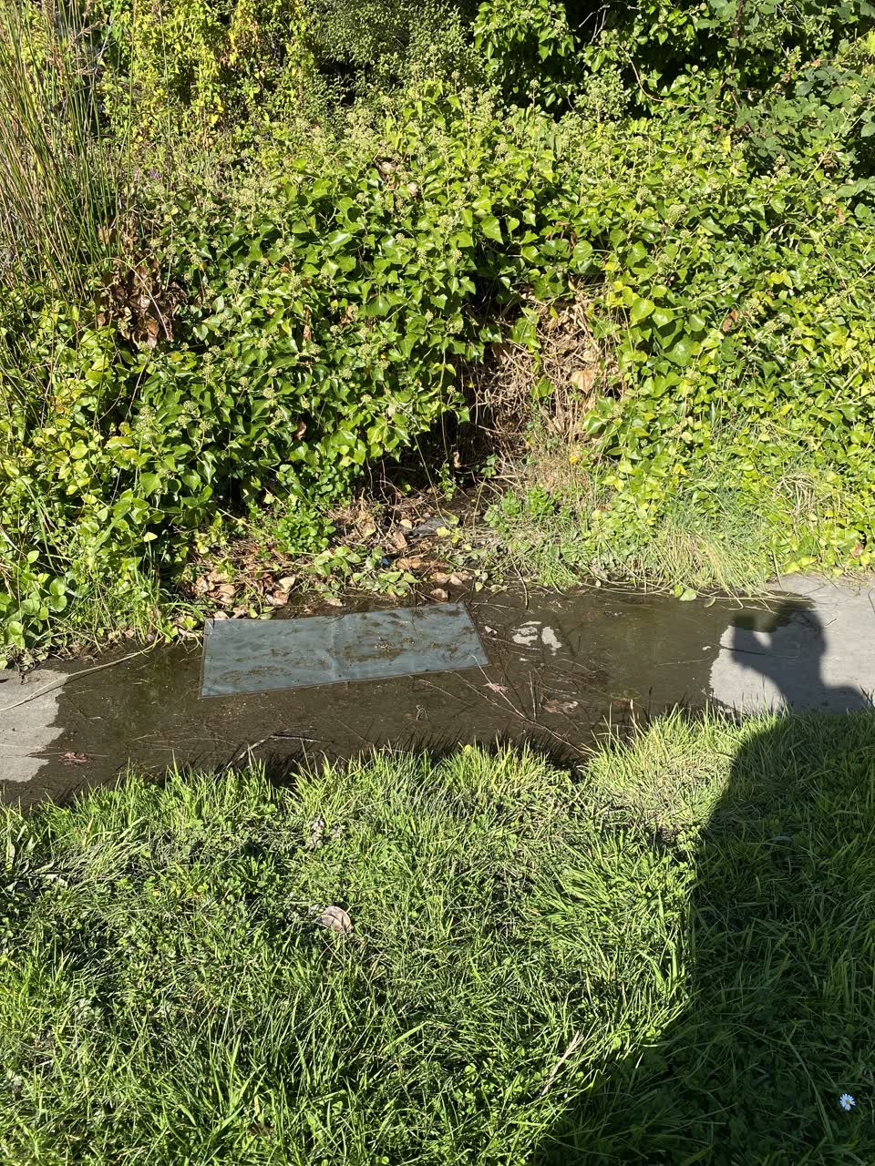 The photograph attached to this water leak report