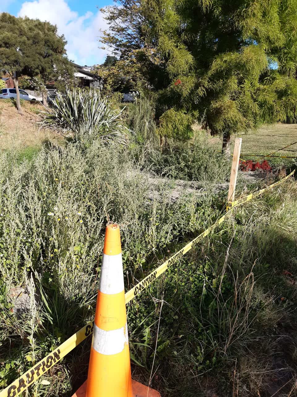 The photograph attached to this parks report