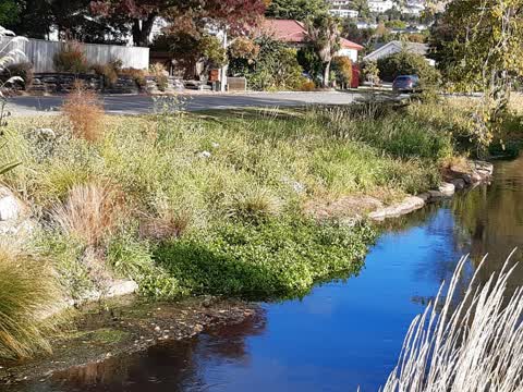Parks, a report photo